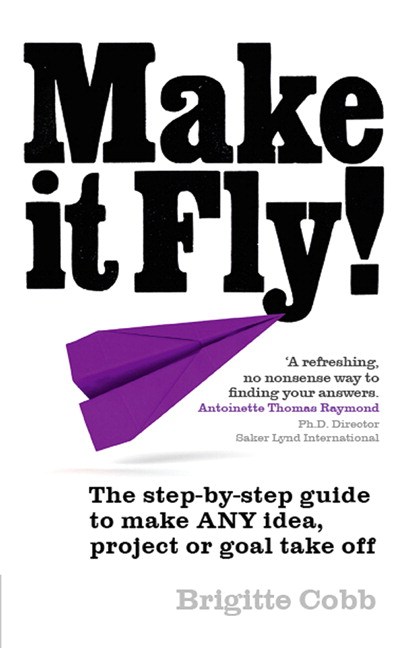 Make it Fly!: The step by step guide to making any idea or project take off