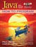 Java How to Program: Late Objects Version, 8th Edition