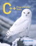 C++ Programming Today