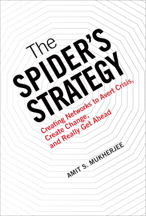 Spider's Strategy, The: Creating Networks to Avert Crisis, Create Change, and Really Get Ahead