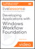 Developing Applications with Windows Workflow Foundation (WF) (Video Training)