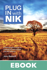 Plug In with Nik: A Photographer's Guide to Creating Dynamic Images with Nik Software