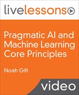 Pragmatic AI and Machine Learning Core Principles