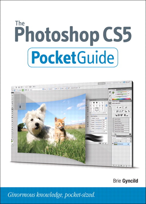 Photoshop CS5 Pocket Guide, The