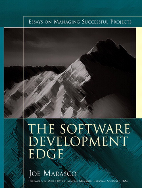 best essays on software development