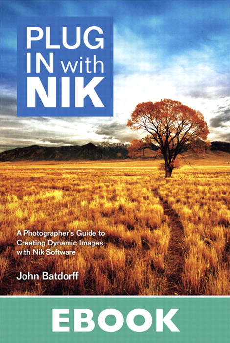 Plug In with Nik: A Photographer's Guide to Creating Dynamic Images with Nik Software