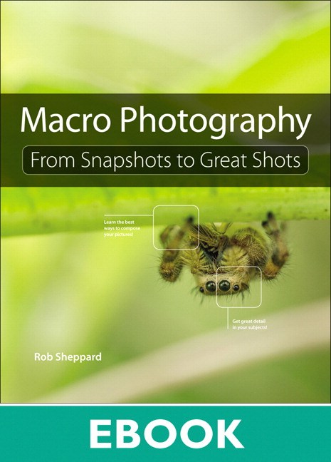 Macro Photography: From Snapshots to Great Shots