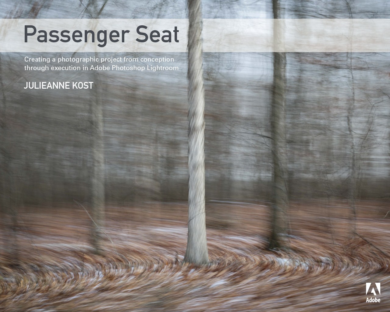 Passenger Seat: Creating a Photographic Project from Conception through Execution in Adobe Photoshop Lightroom