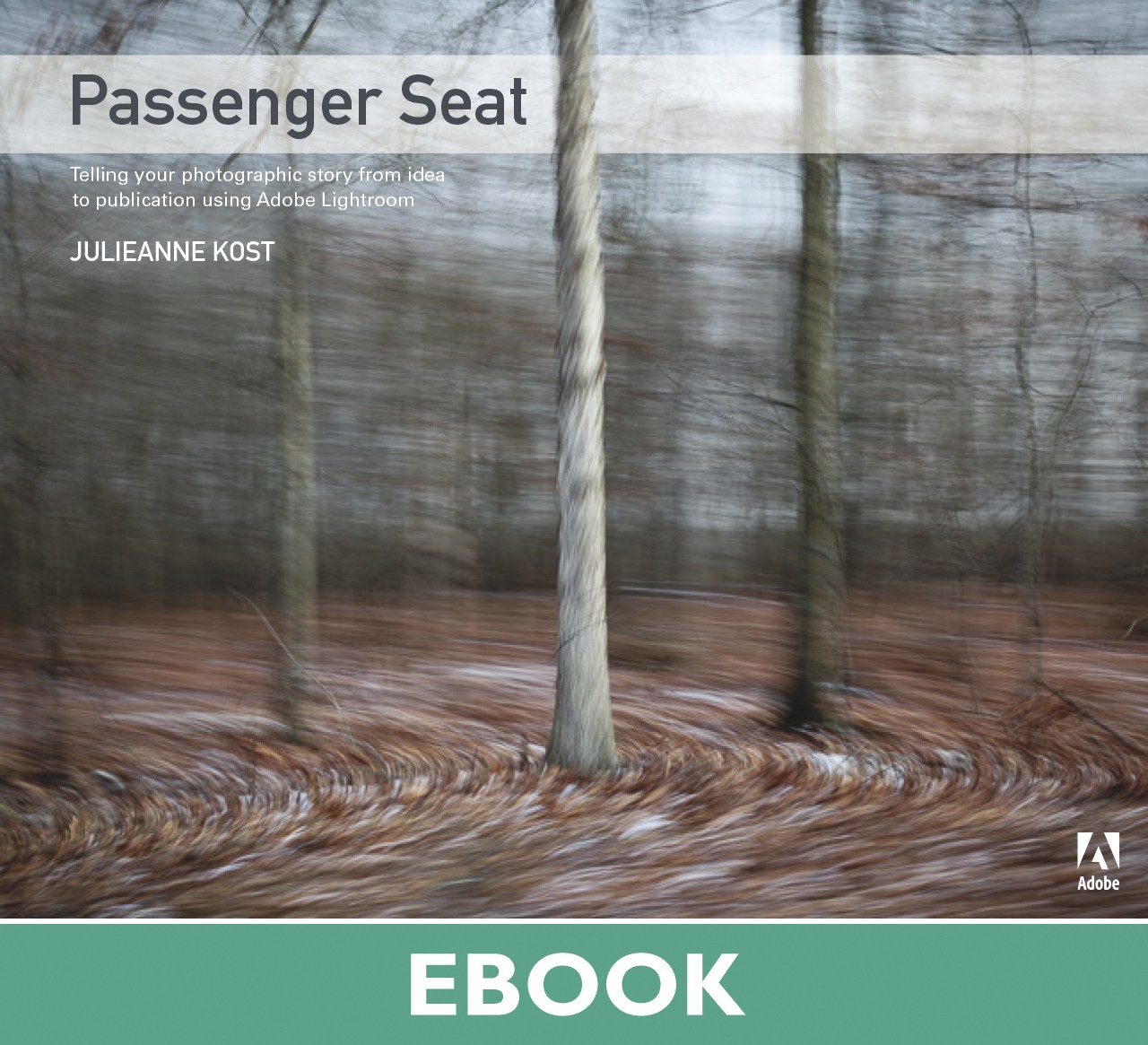 Passenger Seat: Creating a Photographic Project from Conception through Execution in Adobe Photoshop Lightroom