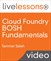 Cloud Foundry BOSH Fundamentals LiveLessons