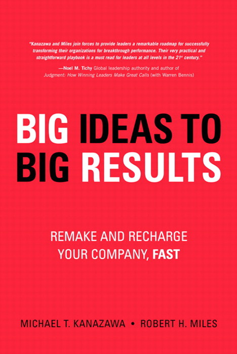 BIG Ideas to BIG Results: Remake and Recharge Your Company, Fast