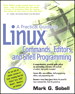 Practical Guide to Linux Commands, Editors, and Shell Programming, A