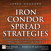 Iron Condor Spread Strategies: Timing, Structuring, and Managing Profitable Options Trades