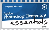 Lesson 14: Exploring the Elements Workspace, Downloadable Version