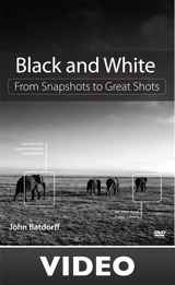 Black and White: From Snapshots to Great Shots (Streaming Video)