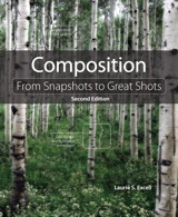 Composition: From Snapshots to Great Shots, 2nd Edition