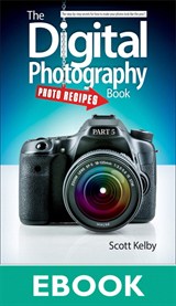 The Digital Photography Book, Part 5: Photo Recipes