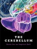 Cerebellum, The: Brain for an Implicit Self