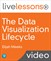 The Data Visualization Lifecycle (Video Training)