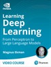 Learning Deep Learning: From Perceptron to Large Language Models (Video Course)