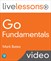 Go Fundamentals LiveLessons: Presented by Gopher Guides (Video Training)