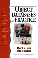 Object Databases in Practice