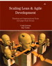 Scaling Lean & Agile Development: Thinking and Organizational Tools for Large-Scale Scrum