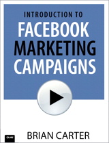Introduction to Facebook Marketing Campaigns (Video)