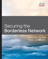 Securing the Borderless Network: Security for the Web 2.0 World