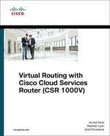 Virtual Routing in the Cloud