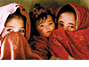 Three Hazara girls sit in their cave in Bamiyan, December
15, 2001. The destruction of the giant Bamiyan Buddhas outraged world leaders,
but a story of human horror also unfolded in the town and the surrounding area
as forces of the Sunni Muslim Taliban, fired by a strict interpretation of
Islam, forced tens of thousands of Shi'ite Muslims to flee into the
mountains.
