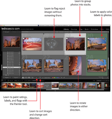 Organizing Images In The Photoshop Lightroom 4 Library Rotating Images Informit