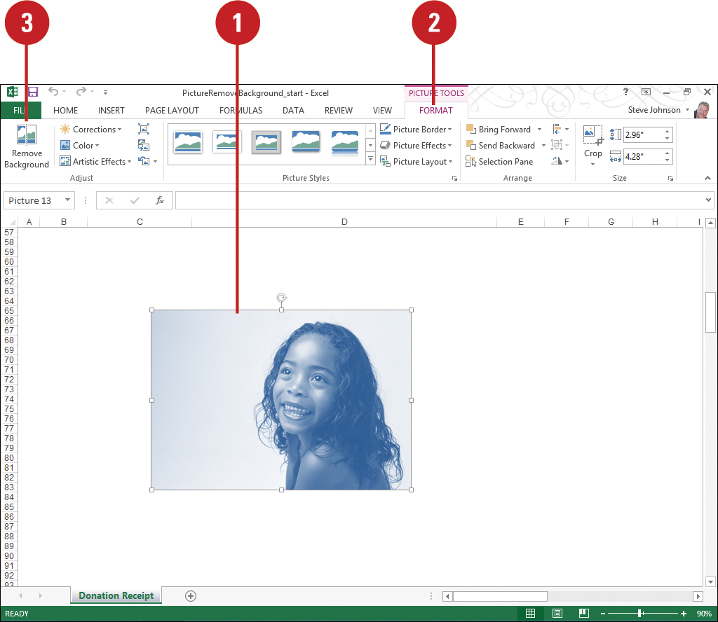 Removing a Picture Background | Adding Art to Documents in Office 2013 |  InformIT